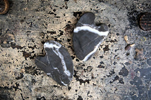 Laden Sie das Bild in den Galerie-Viewer, STUDIO BOTANIC X SASKIA DIEZ GUA SHA STEINE - FOTO VON WENZEL BEUYS