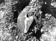 Laden Sie das Bild in den Galerie-Viewer, BUNNY GUA SHA ISAR STONE