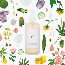 Laden Sie das Bild in den Galerie-Viewer, STUDIO BOTANIC GESICHTSTONIKUM PFLEGEND MIT ROSENWASSER