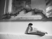 Laden Sie das Bild in den Galerie-Viewer, STUDIO BOTAINC X SASKIA DIEZ HASEN TUBENSCHLÜSSEL X WENZEL BEUYS