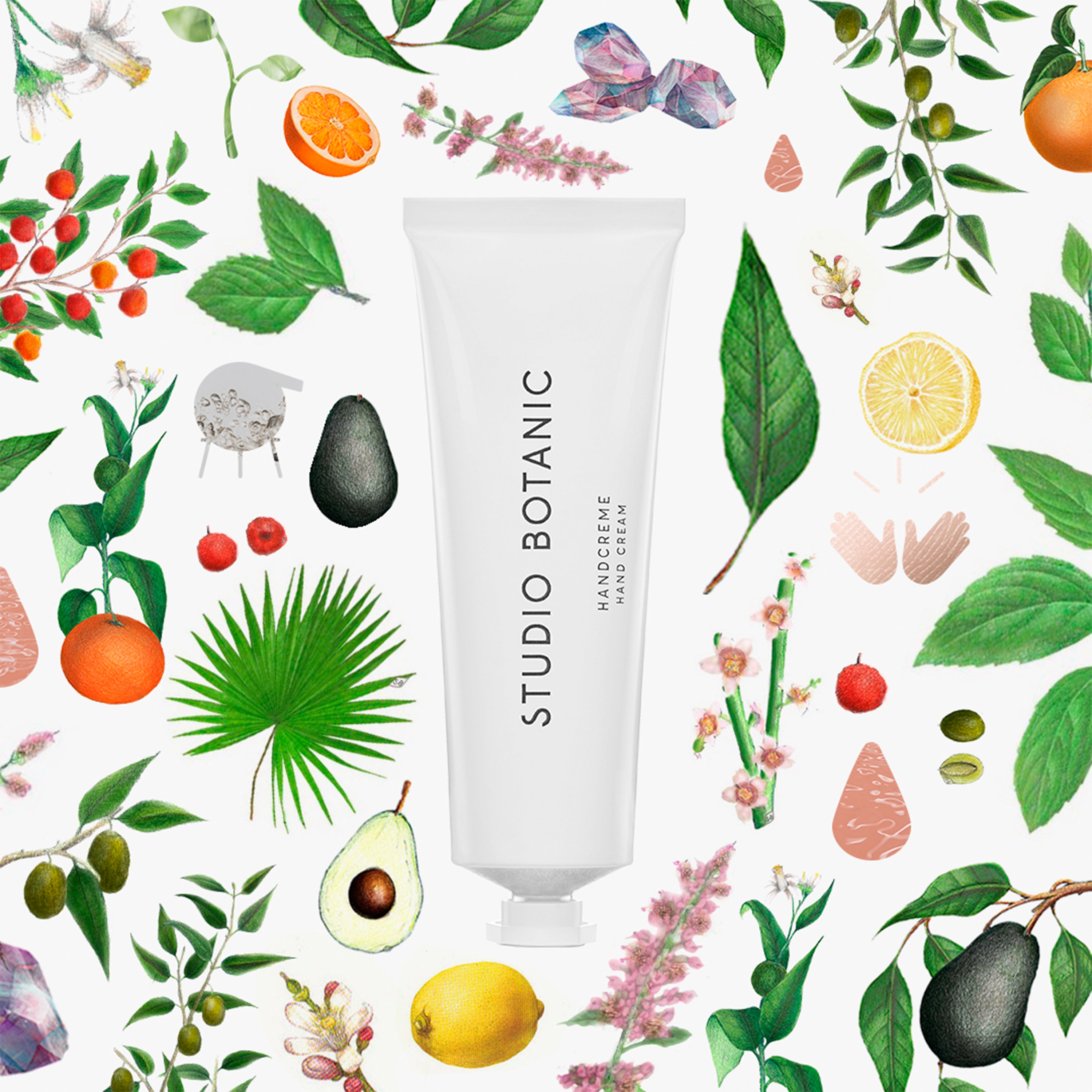 STUDIO BOTANIC HANDCREME MIT AVOCADOÖL