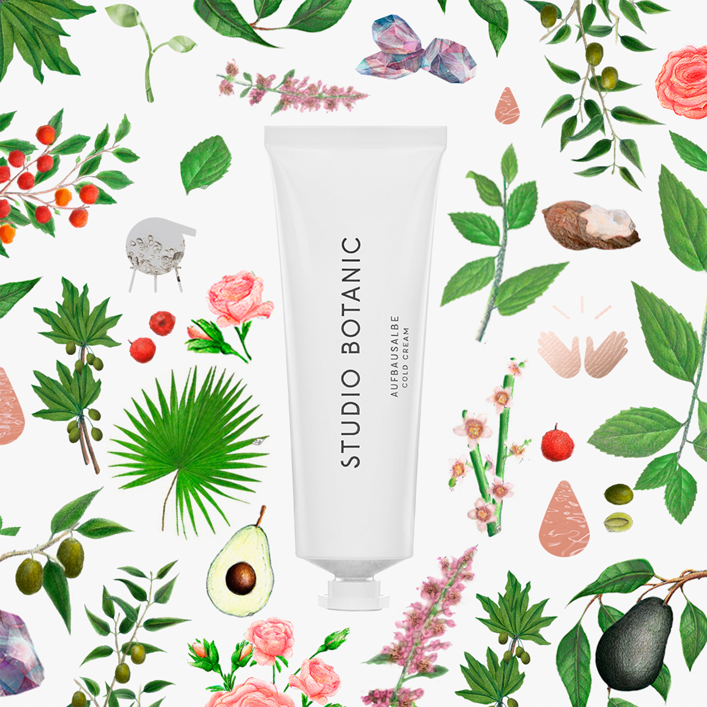 STUDIO BOTANIC AUFBAUSALBE 50 ml